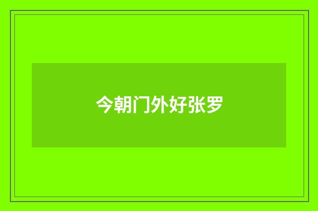 今朝门外好张罗