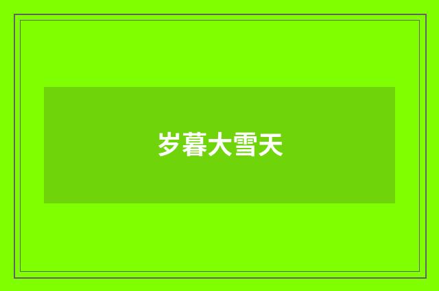 岁暮大雪天