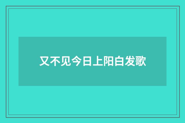 又不见今日上阳白发歌