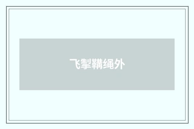 飞掣鞲绳外