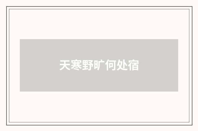 天寒野旷何处宿