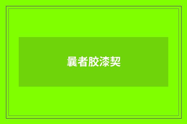曩者胶漆契