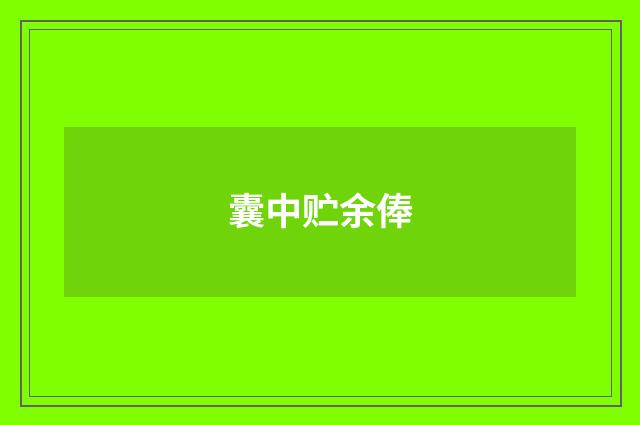 囊中贮余俸