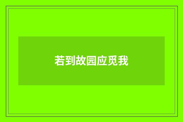 若到故园应觅我