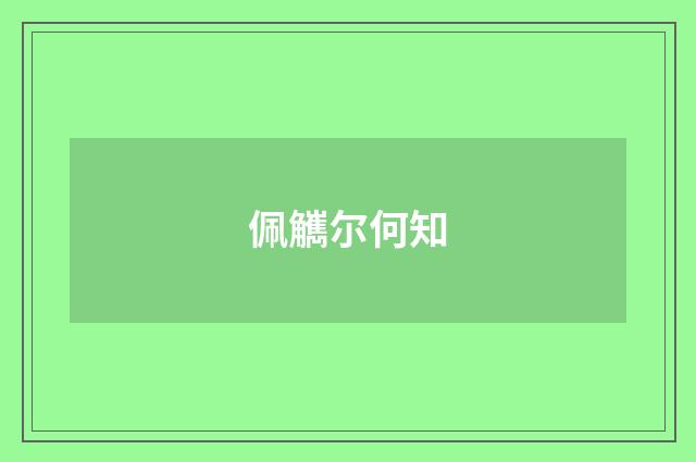 佩觽尔何知
