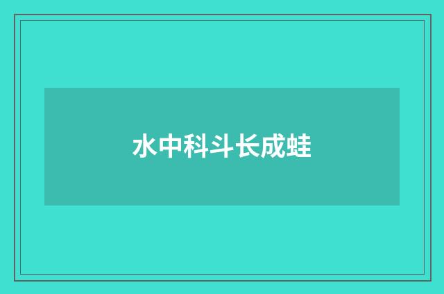 水中科斗长成蛙
