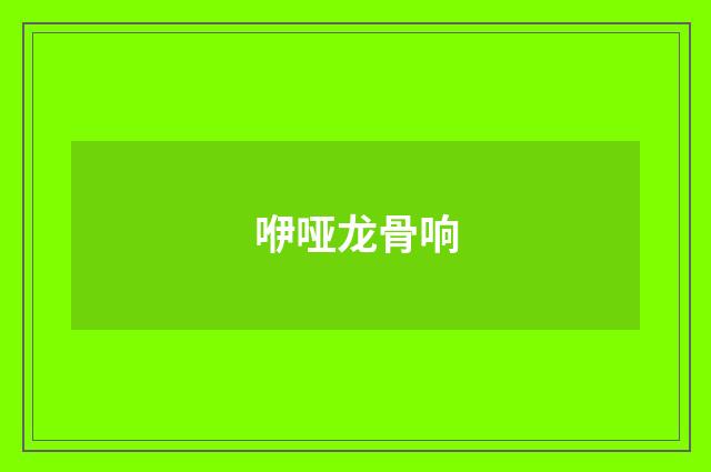 咿哑龙骨响