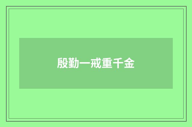 殷勤一戒重千金