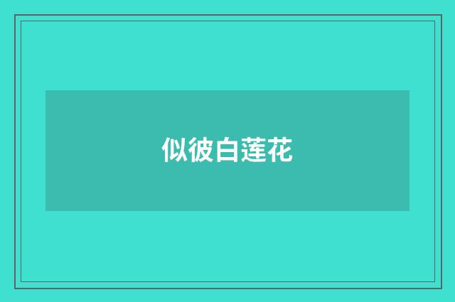 似彼白莲花
