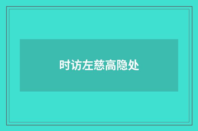 时访左慈高隐处