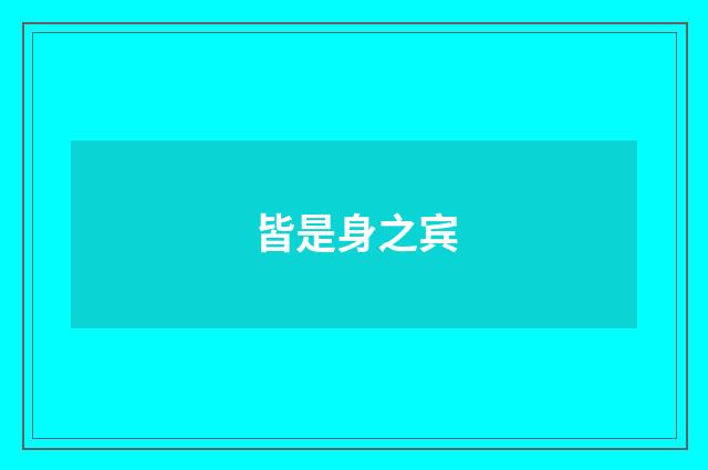 皆是身之宾
