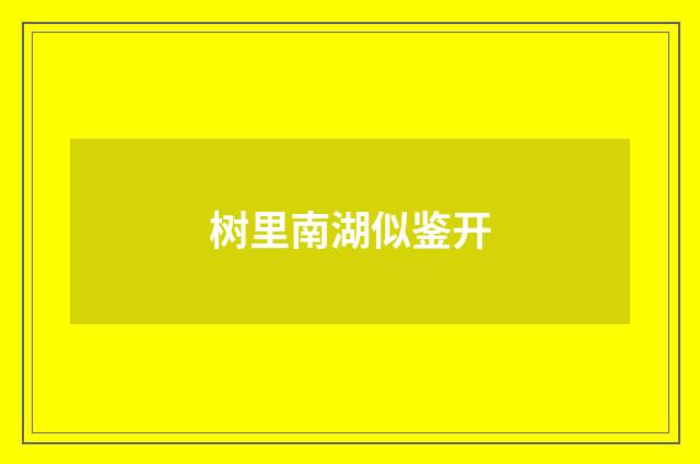 树里南湖似鉴开