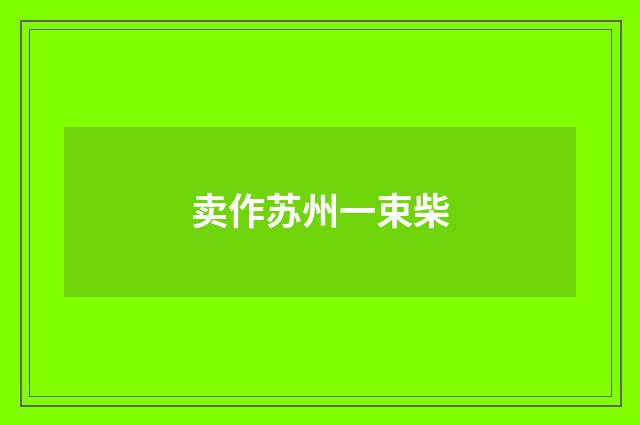 卖作苏州一束柴