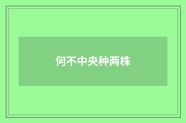 何不中央种两株