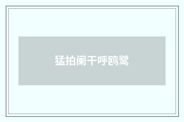 猛拍阑干呼鸥鹭