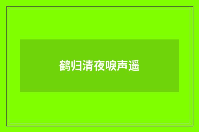 鹤归清夜唳声遥