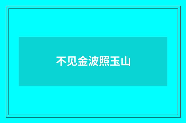 不见金波照玉山