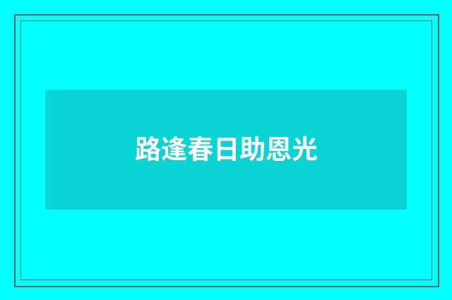 路逢春日助恩光