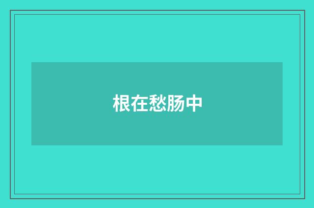 根在愁肠中