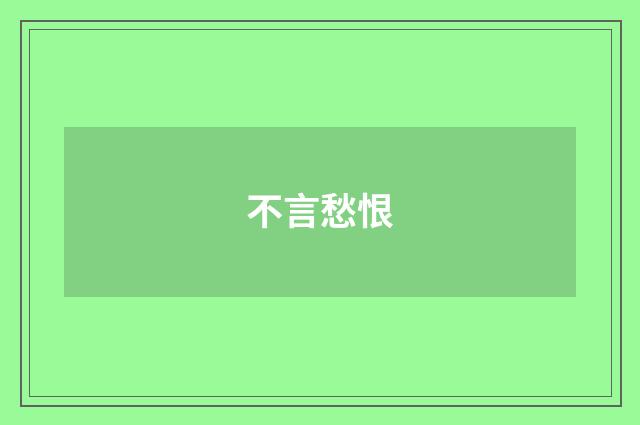 不言愁恨