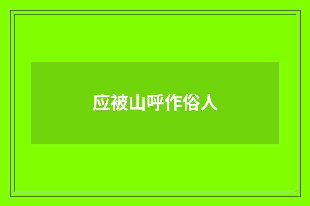 应被山呼作俗人