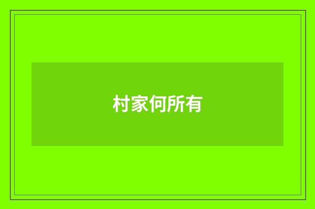 村家何所有