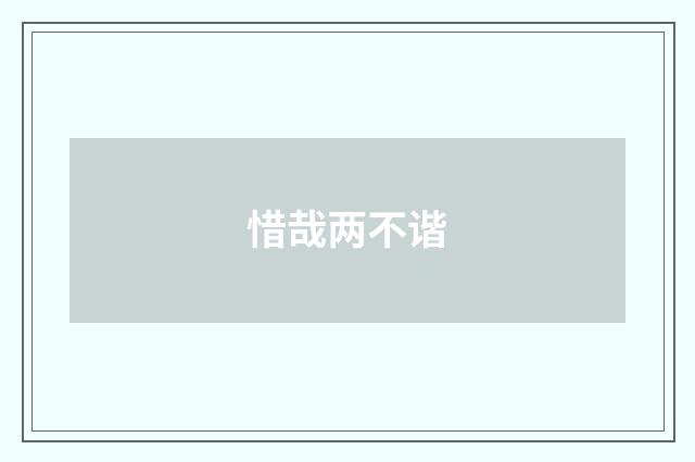 惜哉两不谐