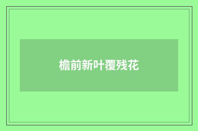 檐前新叶覆残花