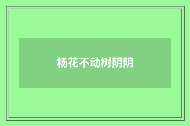 杨花不动树阴阴