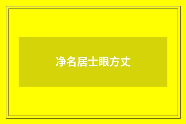 净名居士眼方丈