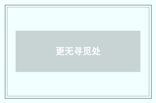 更无寻觅处
