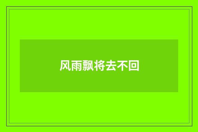 风雨飘将去不回