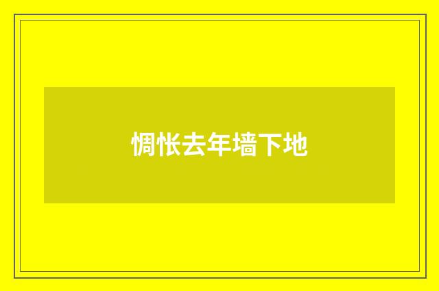 惆怅去年墙下地