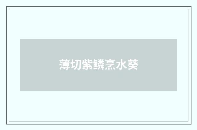 薄切紫鳞烹水葵