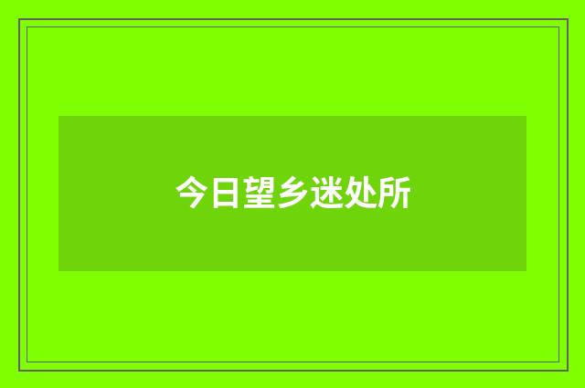 今日望乡迷处所