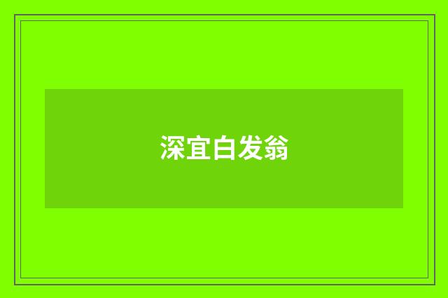深宜白发翁