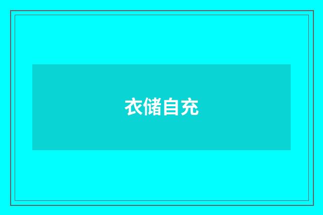 衣储自充