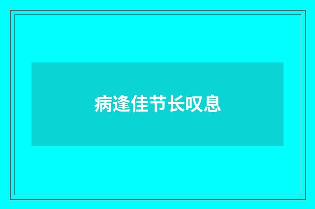 病逢佳节长叹息