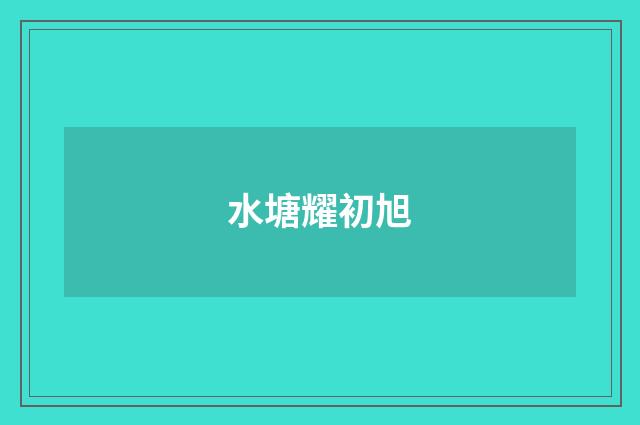 水塘耀初旭