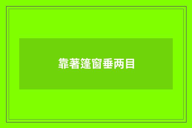 靠著篷窗垂两目