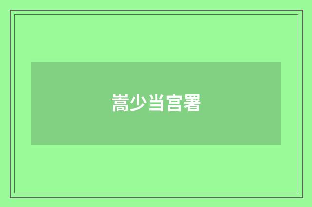 嵩少当宫署