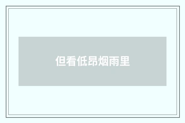 但看低昂烟雨里