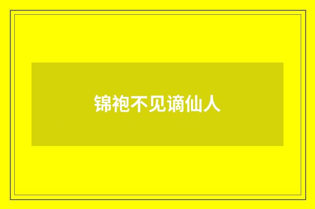 锦袍不见谪仙人