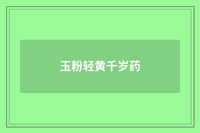 玉粉轻黄千岁药