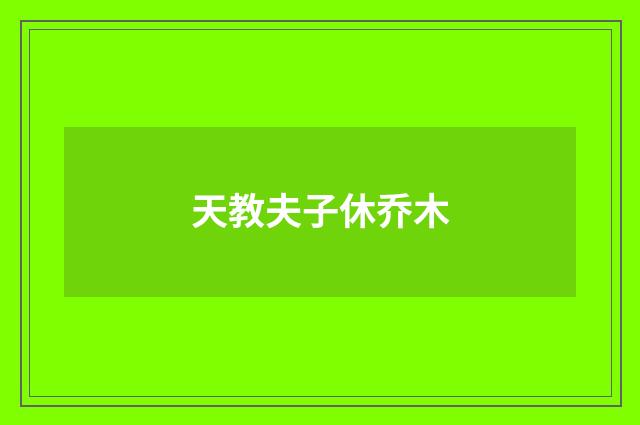 天教夫子休乔木