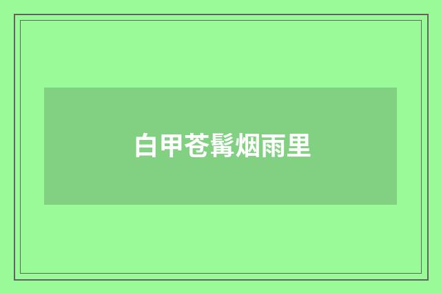 白甲苍髯烟雨里