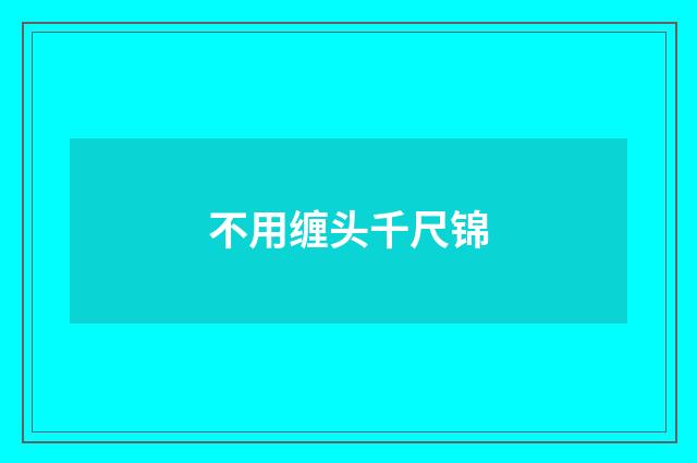 不用缠头千尺锦