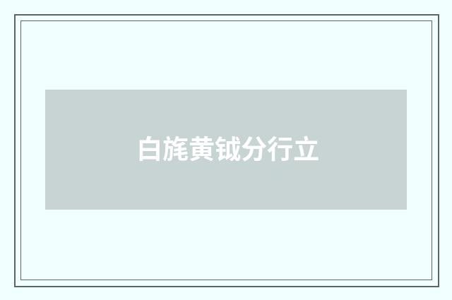 白旄黄钺分行立