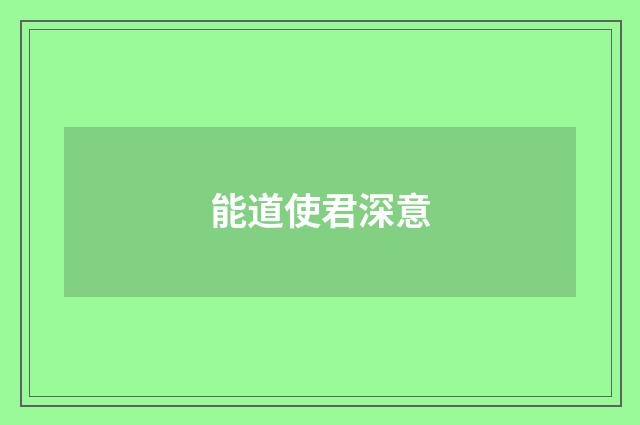 能道使君深意