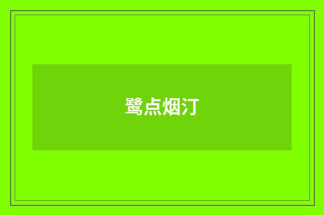 鹭点烟汀